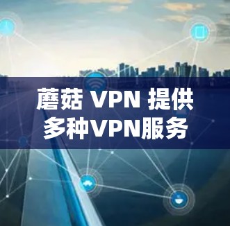 蘑菇 VPN 提供多种VPN服务，适合不同用户的需求，但也存在一些局限性，需要根据具体情况来选择适合的VPN服务。以下是蘑菇 VPN 的详细介绍