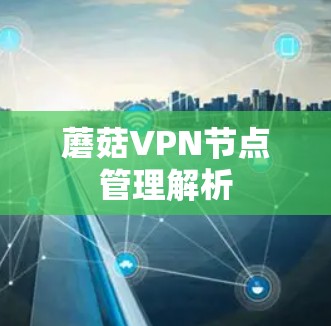 蘑菇VPN节点管理解析