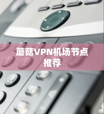 蘑菇VPN机场节点推荐