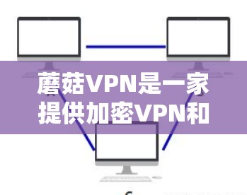 蘑菇VPN是一家提供加密VPN和加密软件的平台，其官网和一部分功能是基于正版软件的。以下是购买蘑菇VPN正版软件的步骤和注意事项