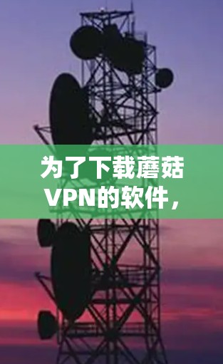 为了下载蘑菇VPN的软件，您可以按照以下步骤进行