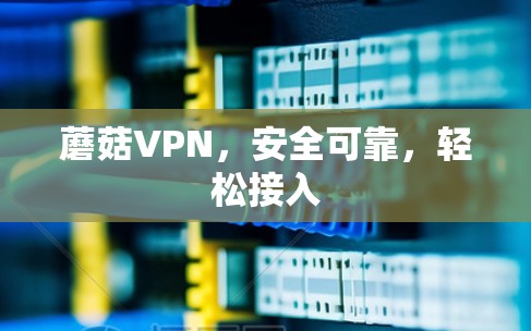 蘑菇VPN，安全可靠，轻松接入