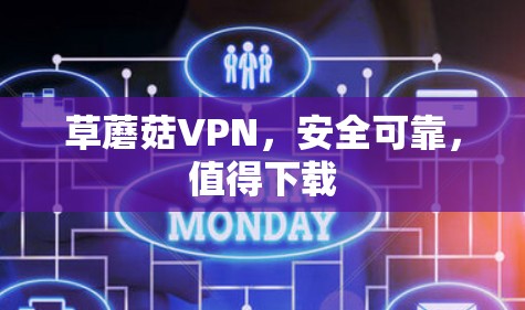草蘑菇VPN，安全可靠，值得下载