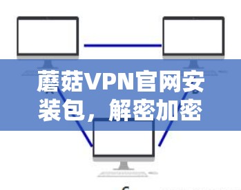 蘑菇VPN官网安装包，解密加密，开启VPN之旅