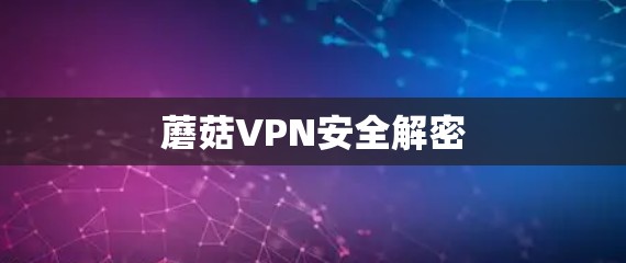 蘑菇VPN安全解密