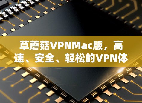 草蘑菇VPNMac版，高速、安全、轻松的VPN体验