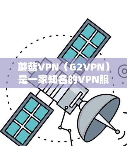 蘑菇VPN（G2VPN）是一家知名的VPN服务提供商，提供多种VPN软件，其中包括官方授权的正版软件。这些软件通常由独立的软件公司提供，以确保其安全性。以下是蘑菇VPN官方授权的正版软件推荐