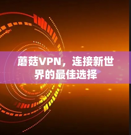 蘑菇VPN，连接新世界的最佳选择