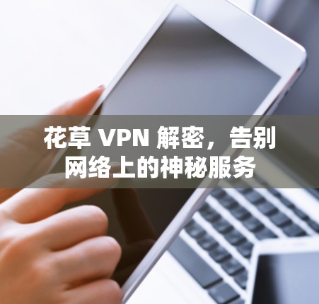 花草 VPN 解密，告别网络上的神秘服务