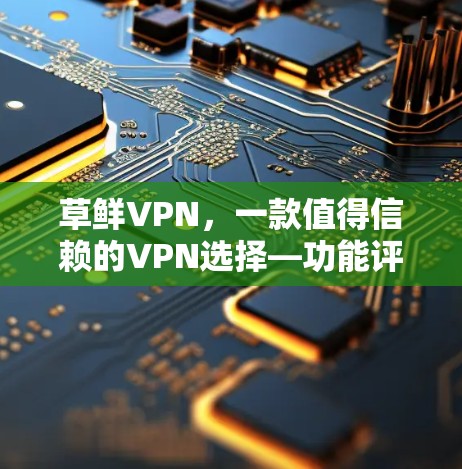 草鲜VPN，一款值得信赖的VPN选择—功能评测与选择建议