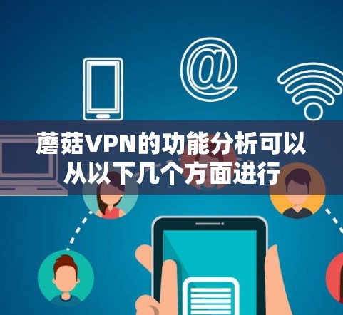 蘑菇VPN的功能分析可以从以下几个方面进行