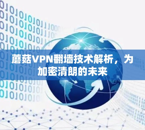 蘑菇VPN翻墙技术解析，为加密清朗的未来
