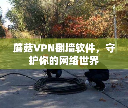 蘑菇VPN翻墙软件，守护你的网络世界