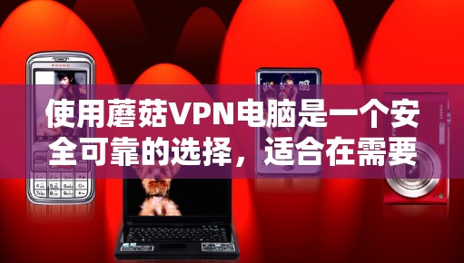 使用蘑菇VPN电脑是一个安全可靠的选择，适合在需要加密访问互联网时使用。以下是一步步的指南