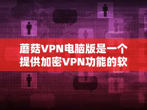蘑菇VPN电脑版是一个提供加密VPN功能的软件工具，旨在保护用户在网络环境下的数据安全。以下是对该软件的详细分析