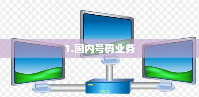 1.国内号码业务