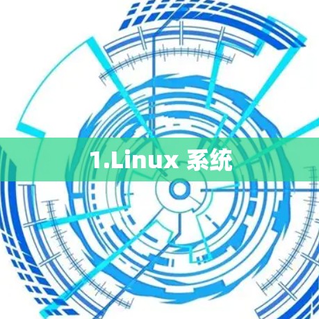 1.Linux 系统