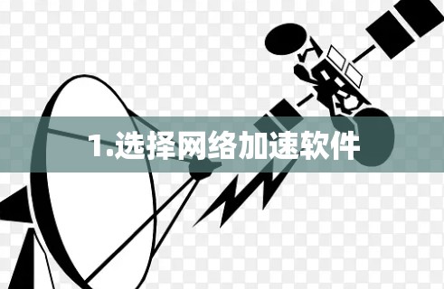 1.选择网络加速软件