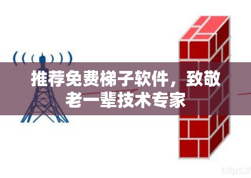推荐免费梯子软件，致敬老一辈技术专家