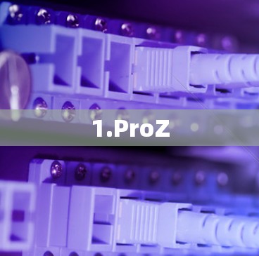 1.ProZ