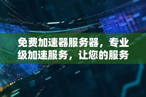 免费加速器服务器，专业级加速服务，让您的服务器轻松运行