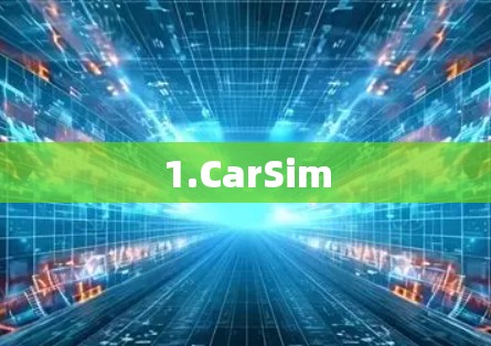 1.CarSim