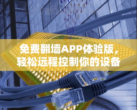 免费翻墙APP体验版，轻松远程控制你的设备
