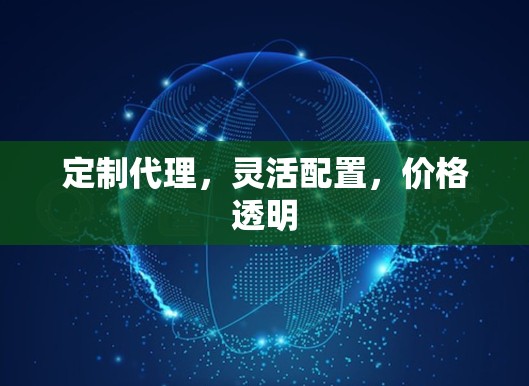 定制代理，灵活配置，价格透明