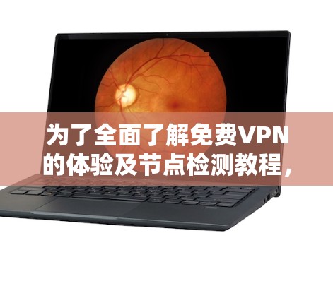 为了全面了解免费VPN的体验及节点检测教程，以下是一个结构化的总结