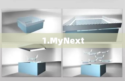 1.MyNext