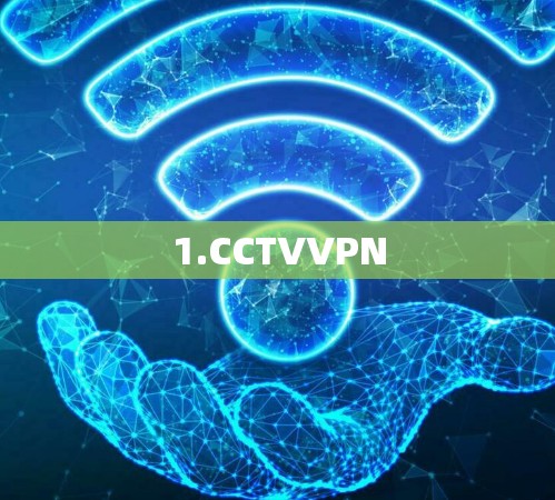 1.CCTVVPN