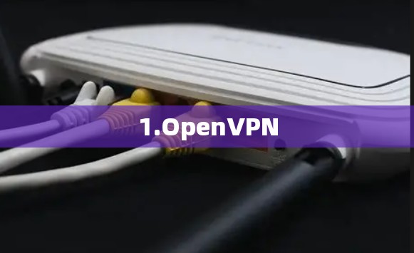 1.OpenVPN
