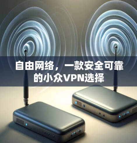 自由网络，一款安全可靠的小众VPN选择