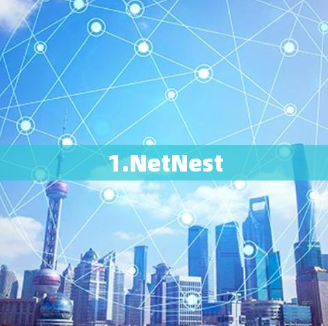1.NetNest