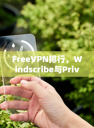 FreeVPN排行，Windscribe与Privado的体验对比