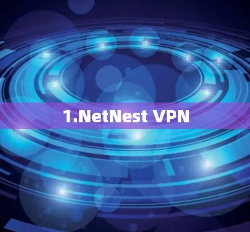 1.NetNest VPN