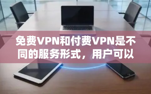 免费VPN和付费VPN是不同的服务形式，用户可以根据自己的需求和风险偏好选择合适的VPN服务。以下是一些关于如何检测和防范免费VPN的建议