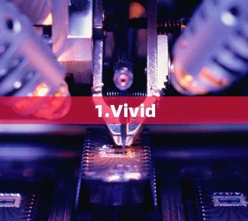 1.Vivid