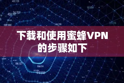 下载和使用蜜蜂VPN的步骤如下