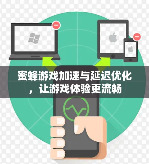 蜜蜂游戏加速与延迟优化，让游戏体验更流畅