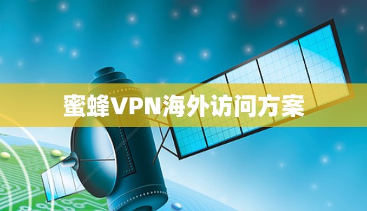 蜜蜂VPN海外访问方案