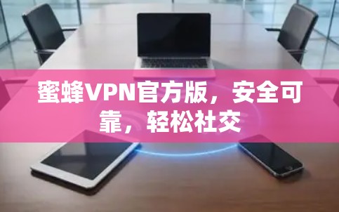 蜜蜂VPN官方版，安全可靠，轻松社交
