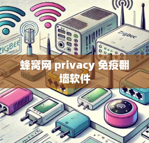 蜂窝网 privacy 免疫翻墙软件