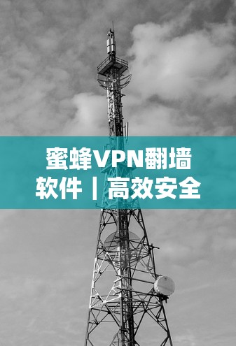 蜜蜂VPN翻墙软件｜高效安全端到端VPN工具