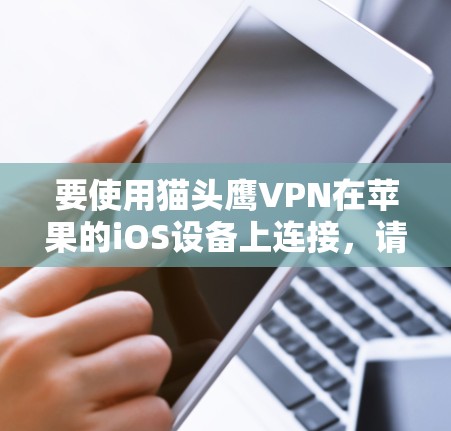 要使用猫头鹰VPN在苹果的iOS设备上连接，请按照以下步骤操作