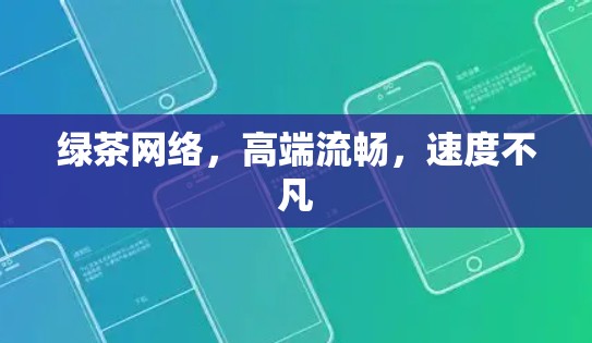 绿茶网络，高端流畅，速度不凡