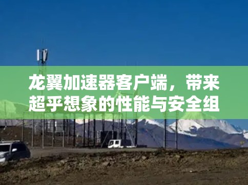 龙翼加速器客户端，带来超乎想象的性能与安全组合，开启你的数字世界