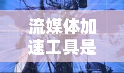 流媒体加速工具是帮助用户提升流媒体观看体验的智能解决方案。以下是关于这些工具的详细总结