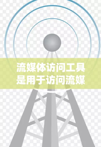 流媒体访问工具是用于访问流媒体网站的工具，包括浏览器插件和流媒体客户端。以下是对这些工具的系统性介绍