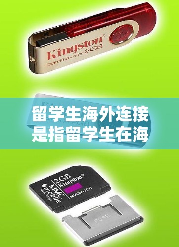 留学生海外连接是指留学生在海外的个人交流与联系，包括但不限于以下方面